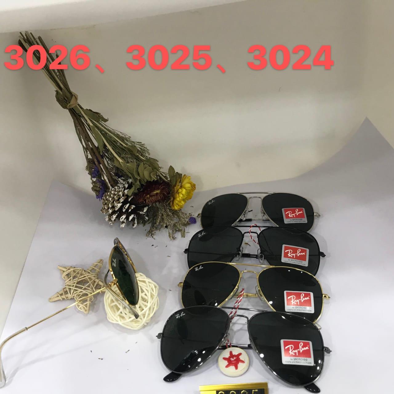 Sunglass model - 3024